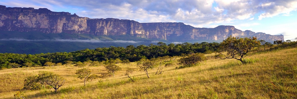 VENEZUELA Az Elveszett Világ