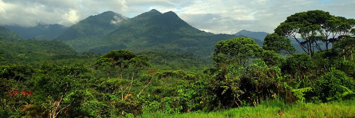 PANAMA A Panama-csatorna két oldala