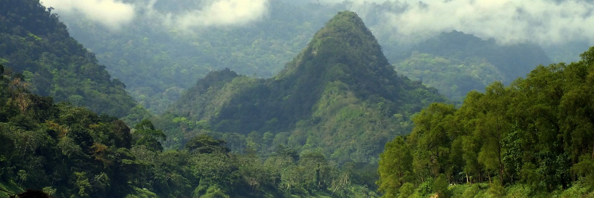 HONDURAS Pipantéval a Moszkító-partra