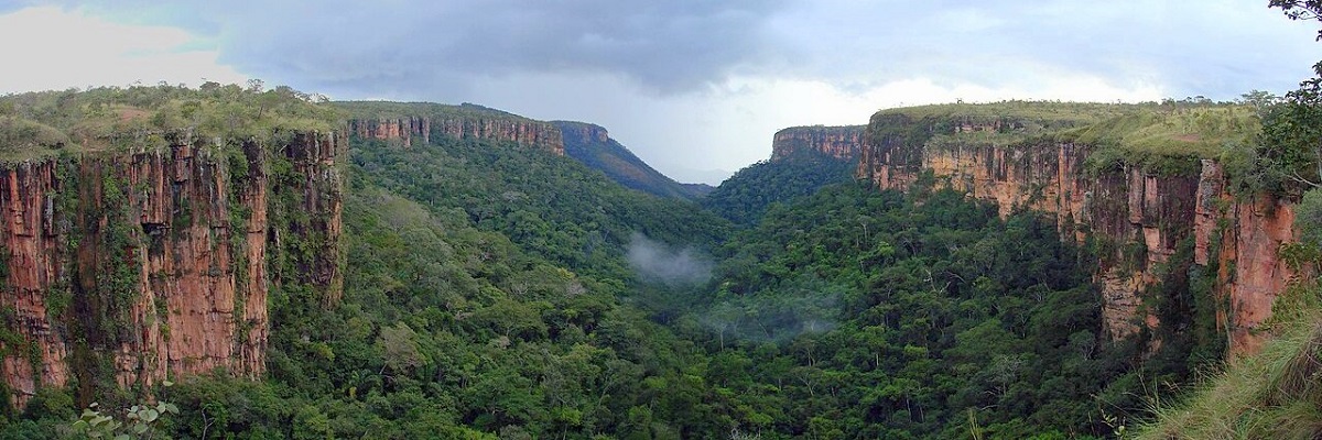 BRAZÍLIA A Pantanal varázslatos mocsarai