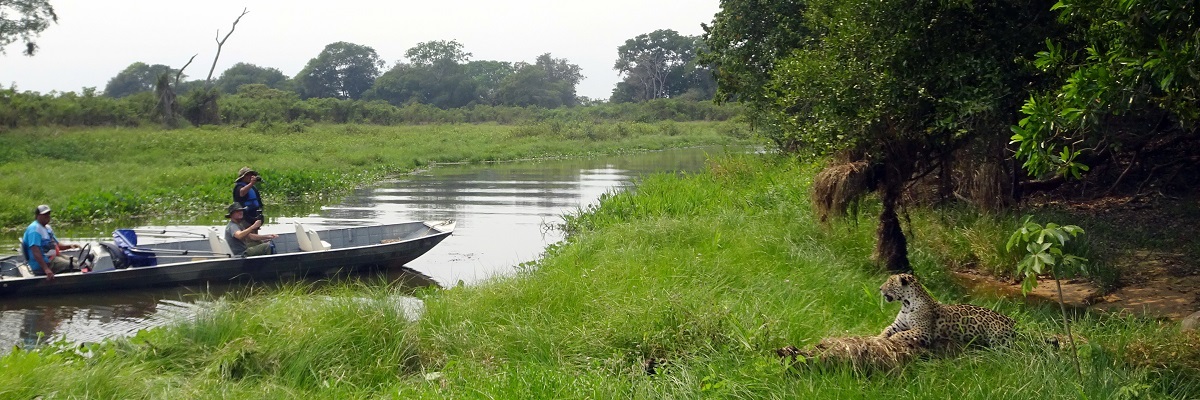 BRAZÍLIA A Pantanal varázslatos mocsarai