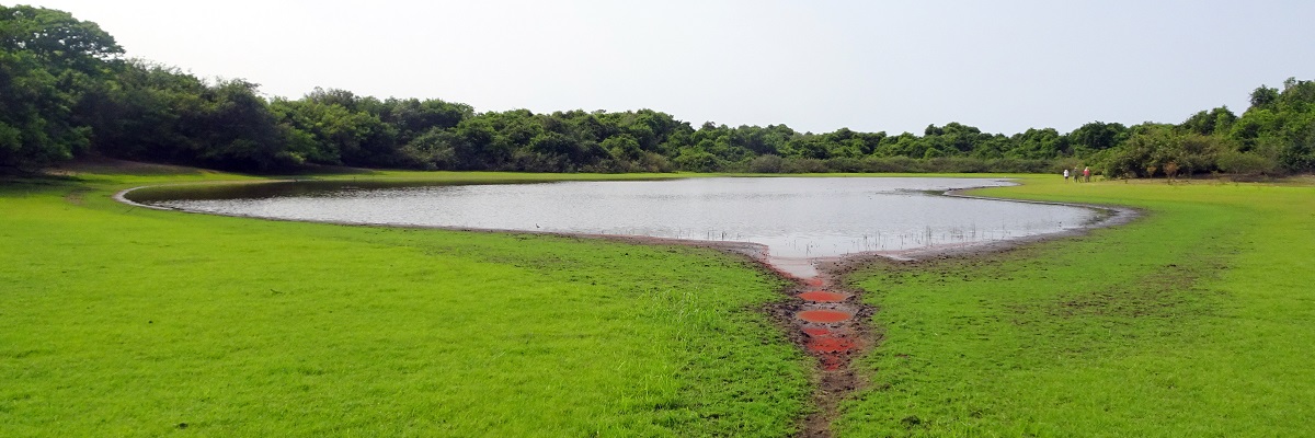 BRAZÍLIA A Pantanal varázslatos mocsarai