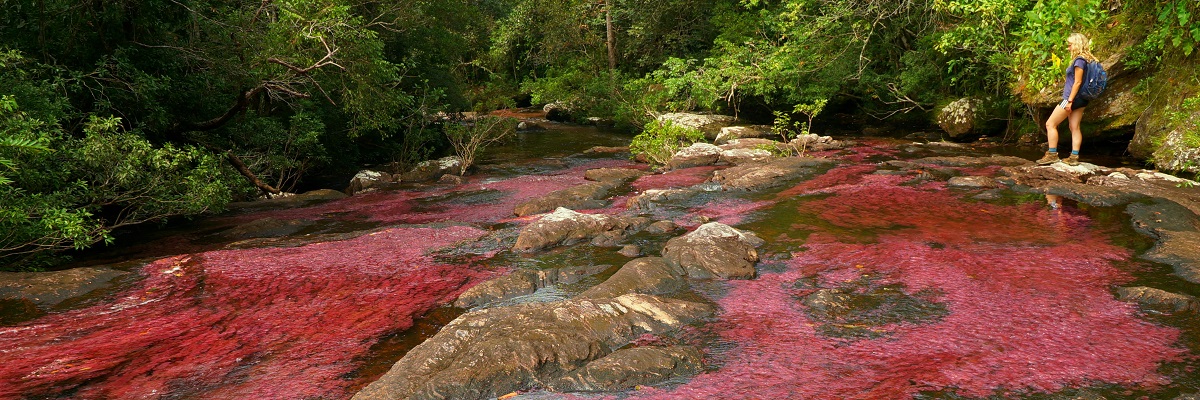 KOLUMBIA (KELET) Amazónia színes folyói és a Los Llanos