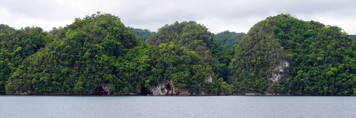 DOMINIKAI KÖZTÁRSASÁG Karibi "partitúra"