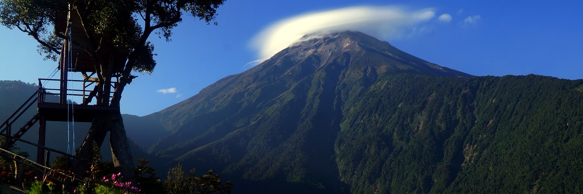 ECUADOR Dél-Amerika törpéje